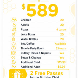 Mega Hive Playground Birthday Party
